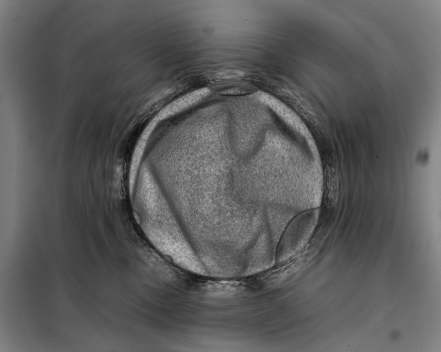 X0000097920378200804041529