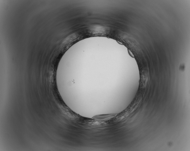 X0000097920379200804041529