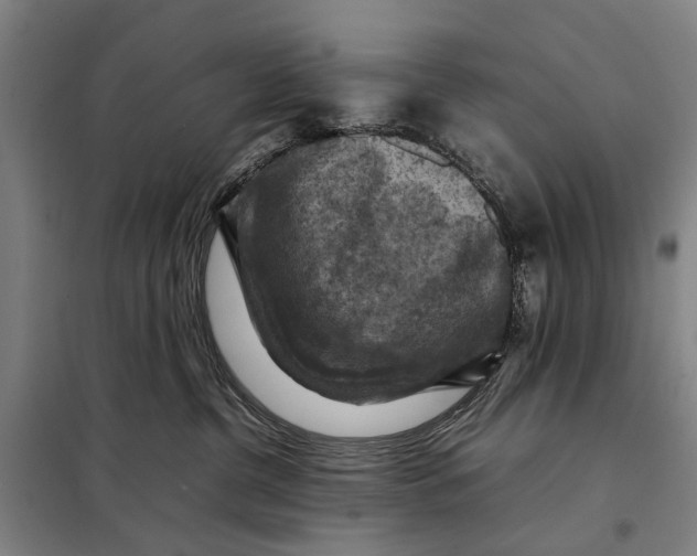 X0000097920380200804041529