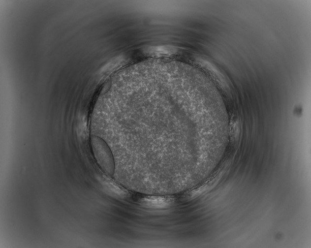 X0000097920381200804041529