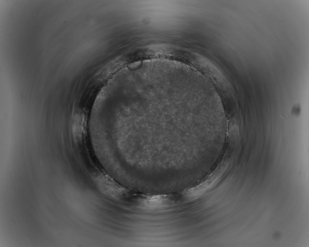 X0000097920382200804041529