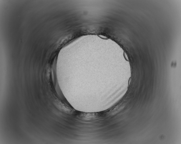 X0000097920384200804041529