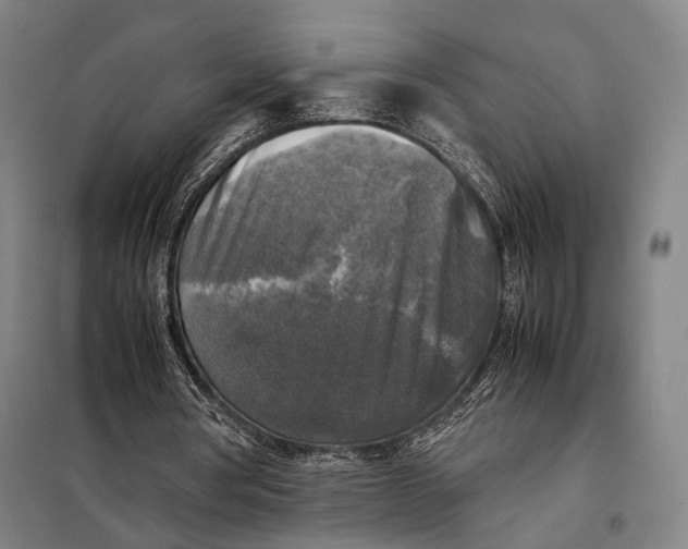 X0000097920386200804041529