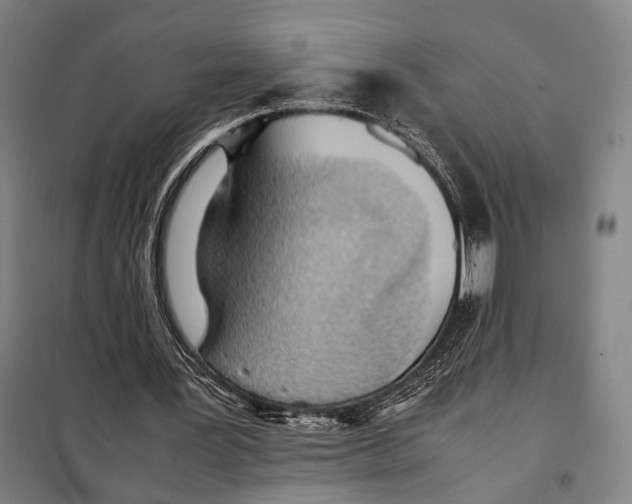 X0000097920387200804041529