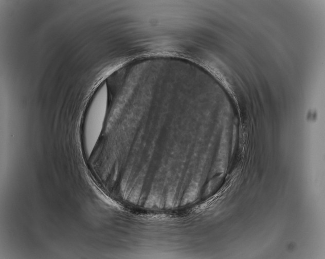 X0000097920389200804041529