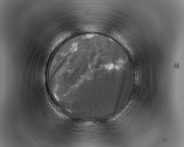 X0000097920390200804041529