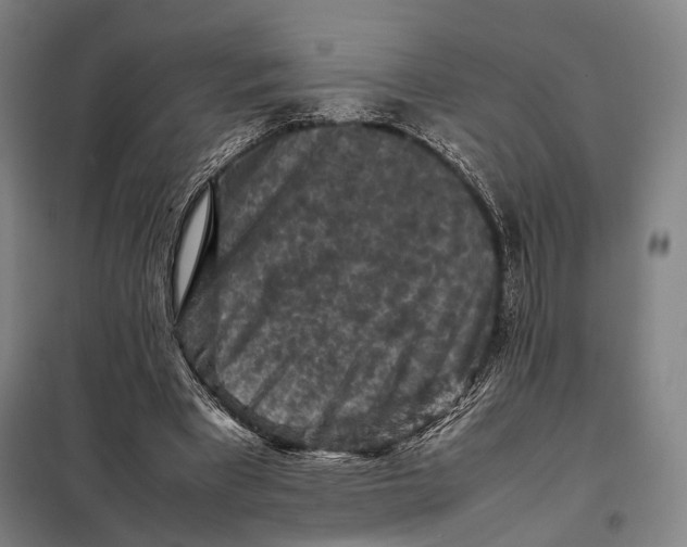 X0000097920393200804041528