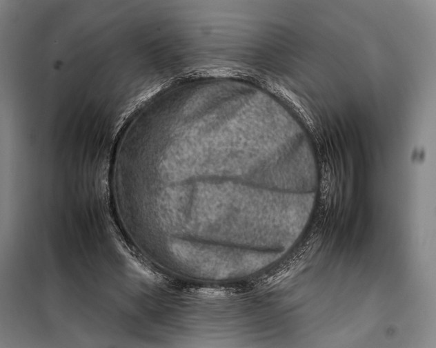 X0000097920394200804041528