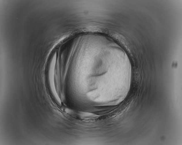 X0000097920395200804041528