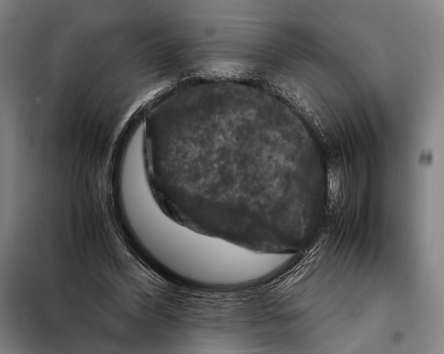 X0000097920396200804041528