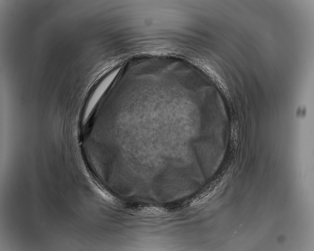 X0000097920397200804041528