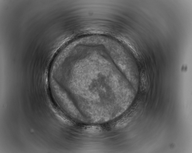 X0000097920398200804041528