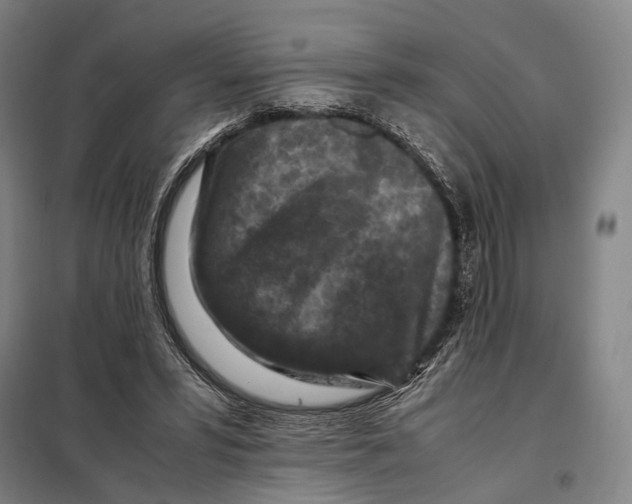 X0000097920399200804041528