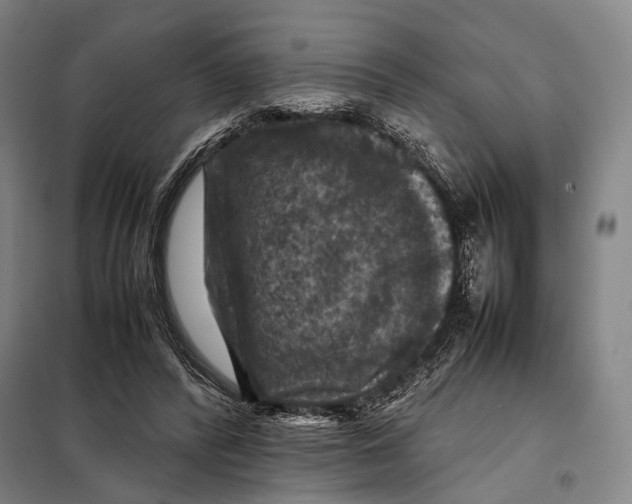 X0000097920400200804041528