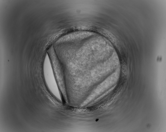 X0000097920401200804041528