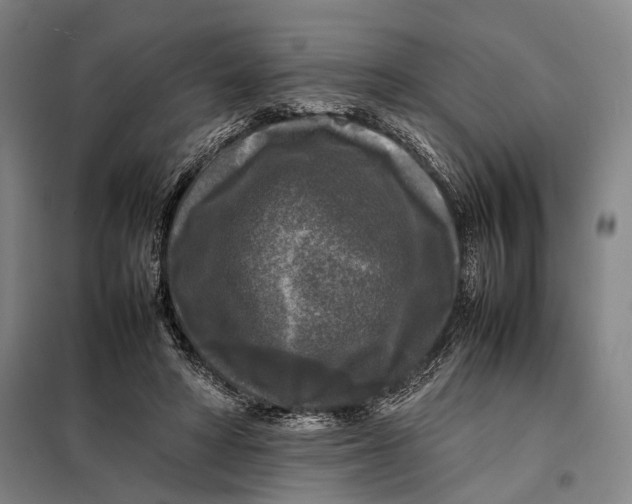 X0000097920402200804041528