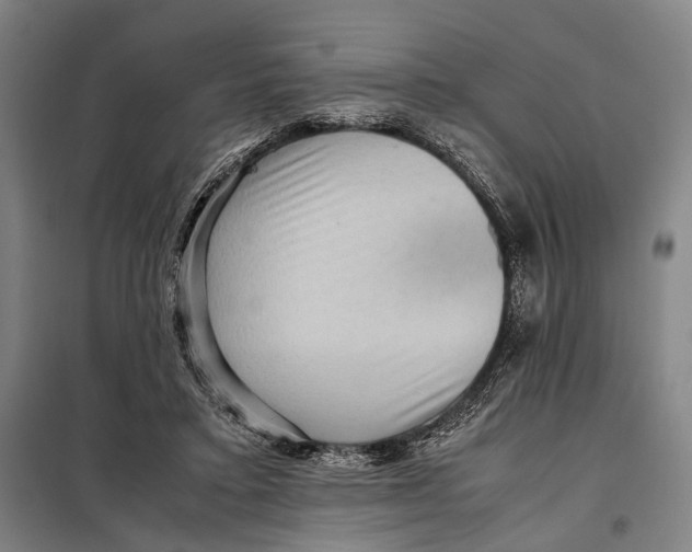 X0000097920403200804041528