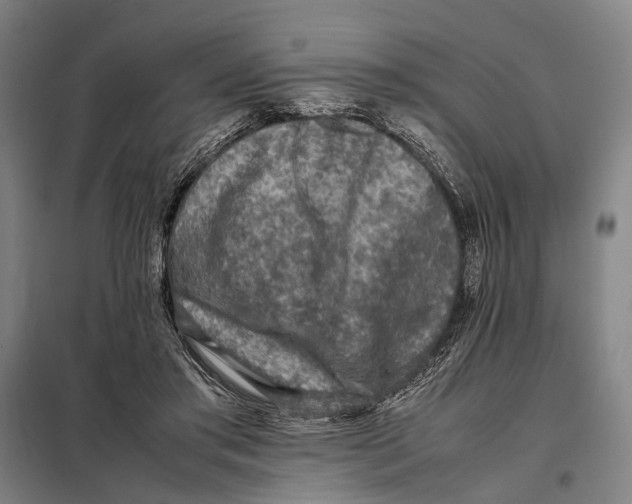 X0000097920405200804041528