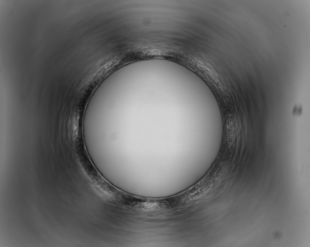 X0000097920406200804041528