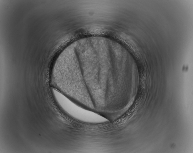 X0000097920407200804041528