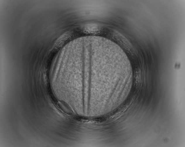 X0000097920408200804041528