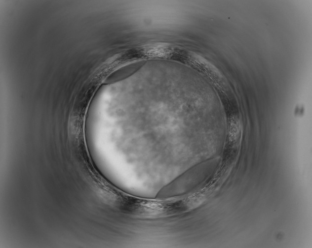 X0000097920409200804041528