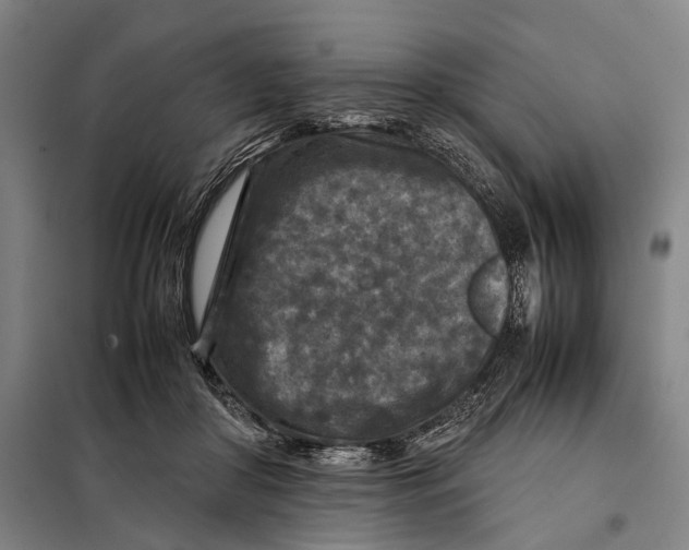 X0000097920410200804041528