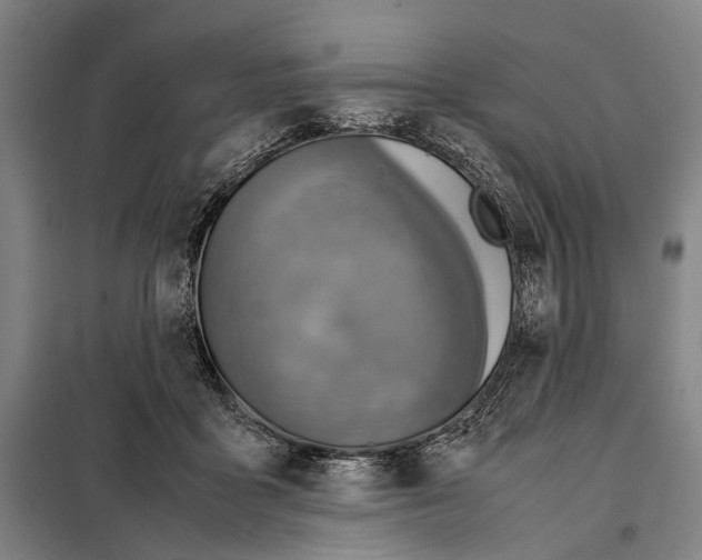 X0000097920411200804041528