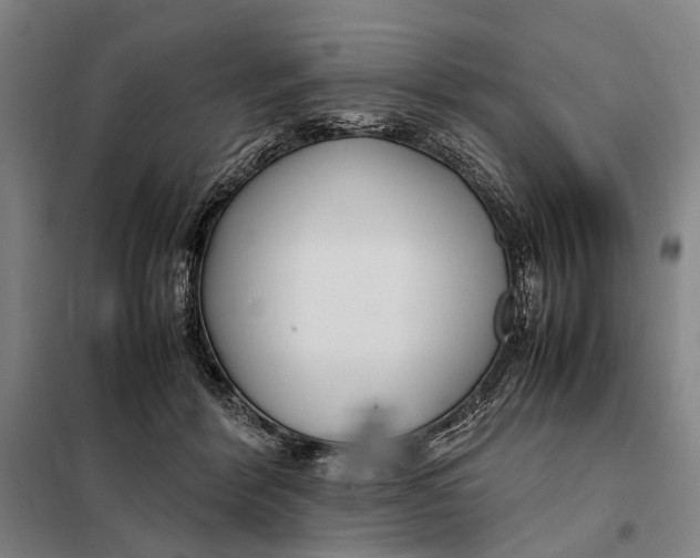 X0000097920412200804041528