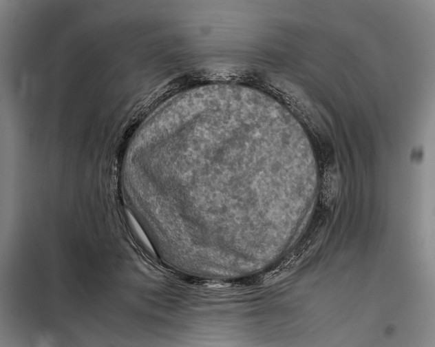 X0000097920413200804041528