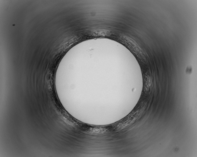 X0000097920414200804041528