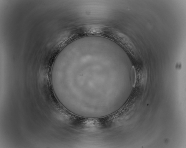 X0000097920415200804041528