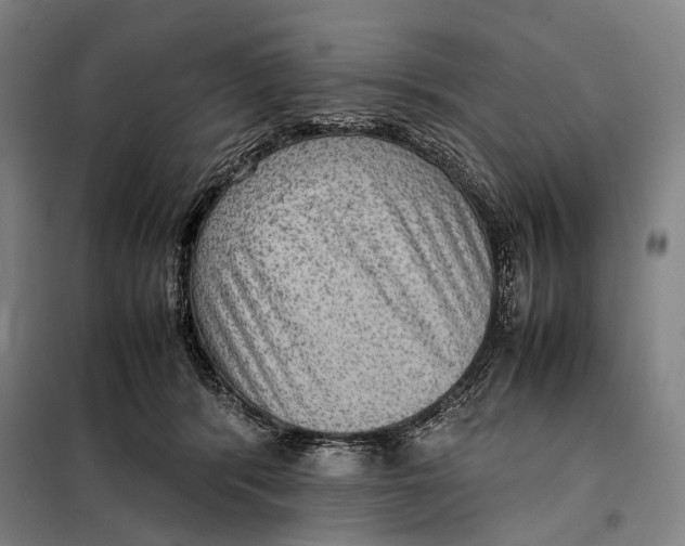 X0000097920416200804041528