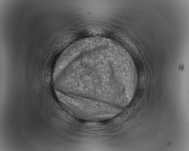 X0000097920417200804041528