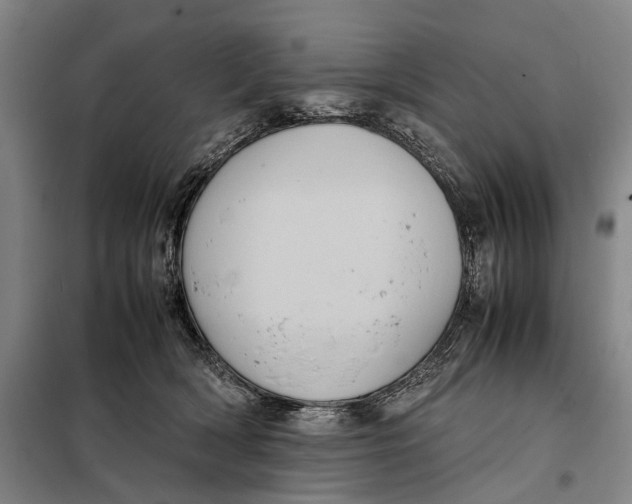 X0000097920418200804041528