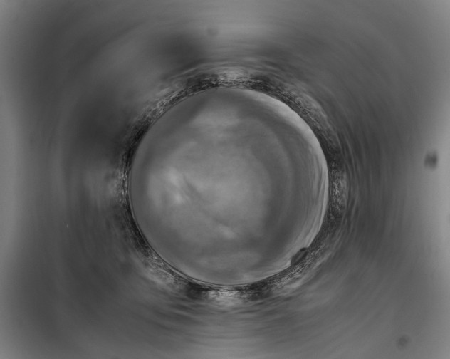 X0000097920419200804041528