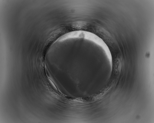 X0000097920420200804041528