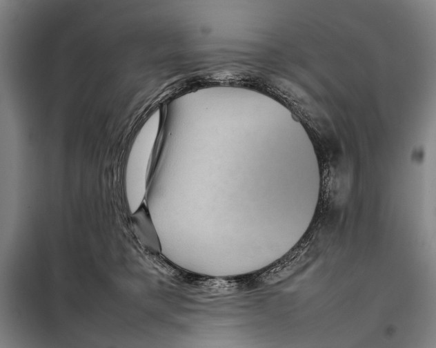 X0000097920421200804041528