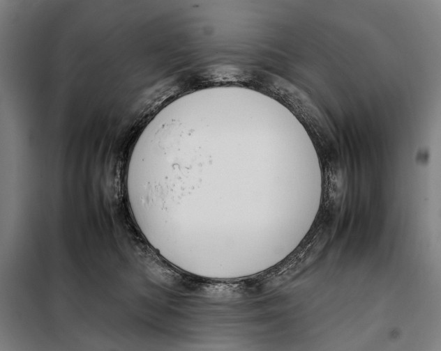 X0000097920422200804041528