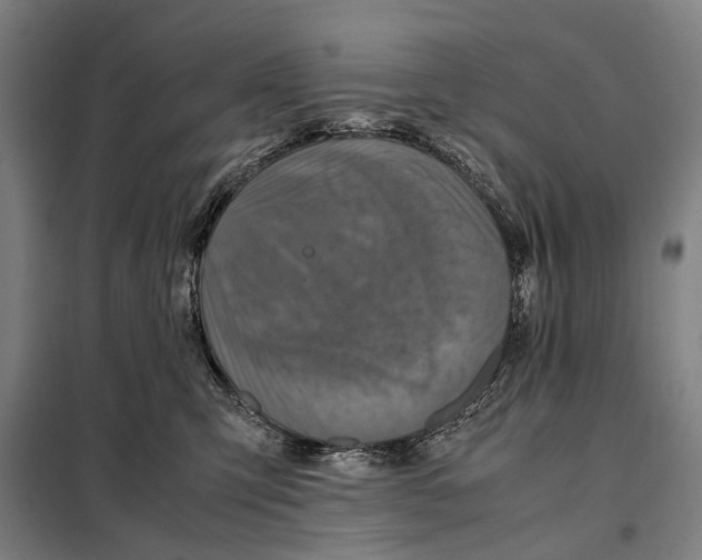 X0000097920423200804041528