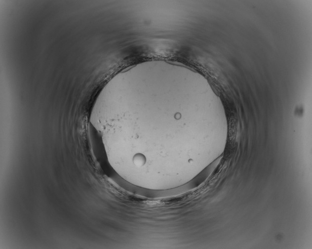 X0000097920425200804041528