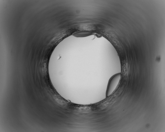 X0000097920426200804041528