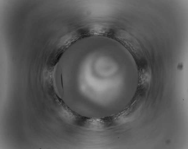 X0000097920427200804041528