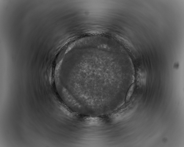 X0000097920428200804041528