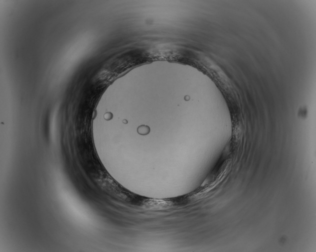 X0000097920429200804041528