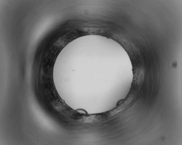 X0000097920430200804041528