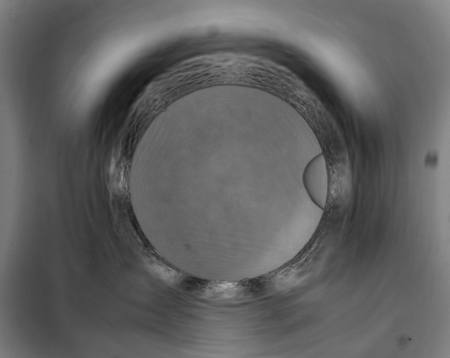 X0000097920431200804041528