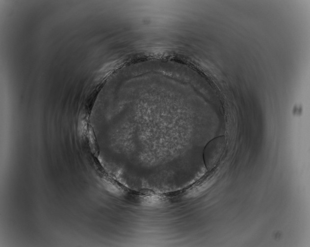 X0000097920432200804041528