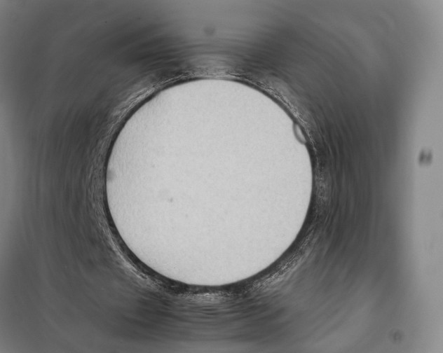 X0000097920433200804041527