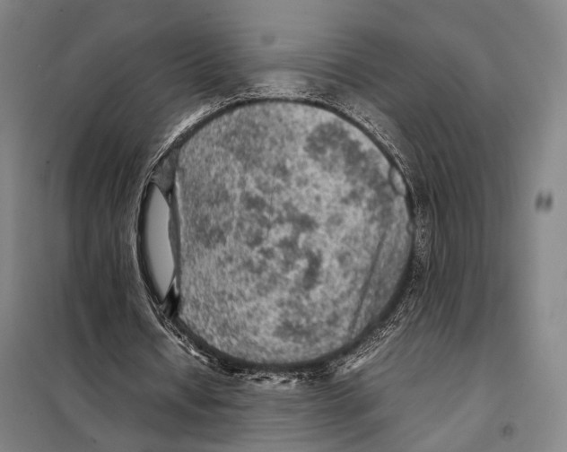 X0000097920434200804041527